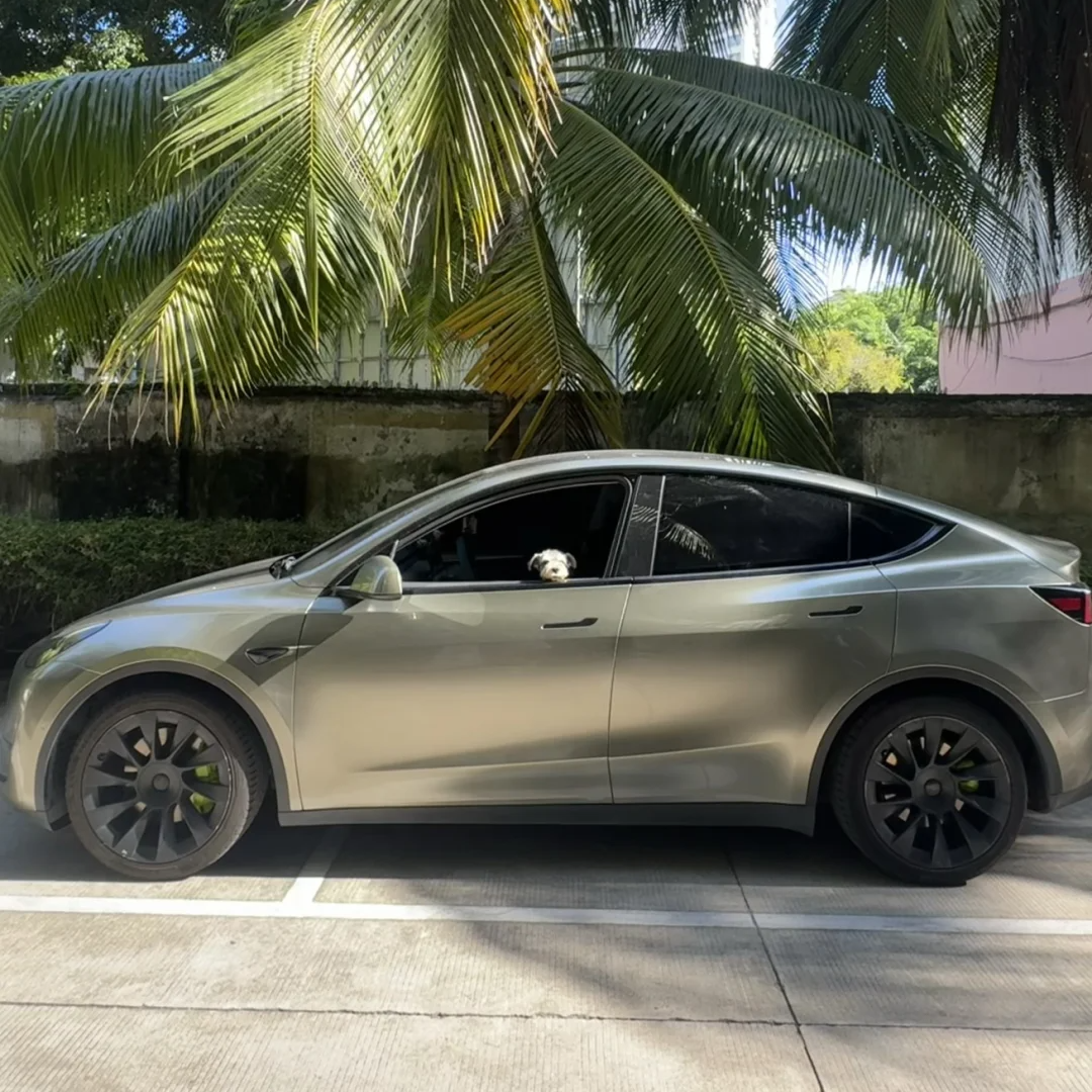 Super Gloss Aventurine Green Car Vinyl Wrap