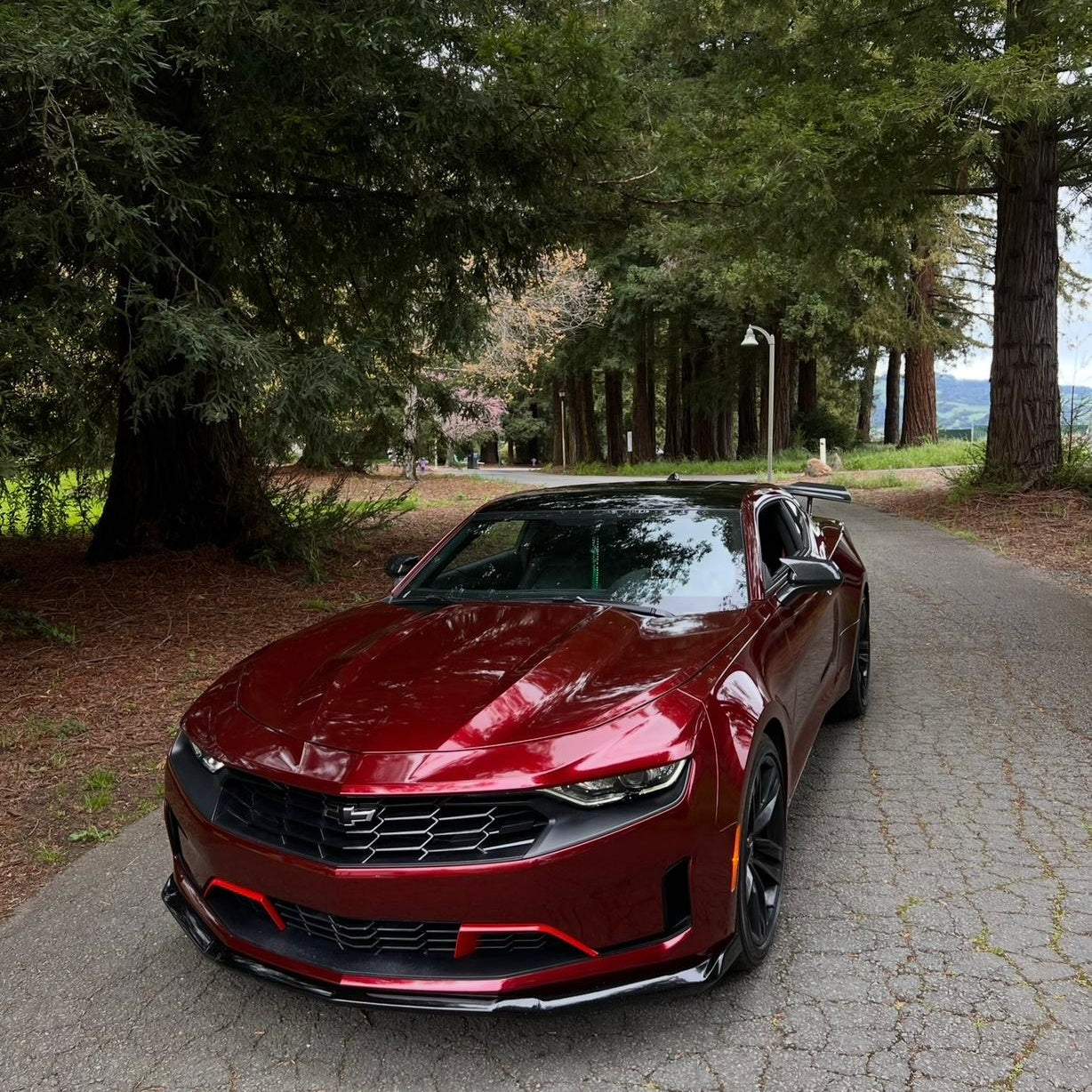 TPU Liquid Metallic Dragon Blood Red Car Vinyl Wrap
