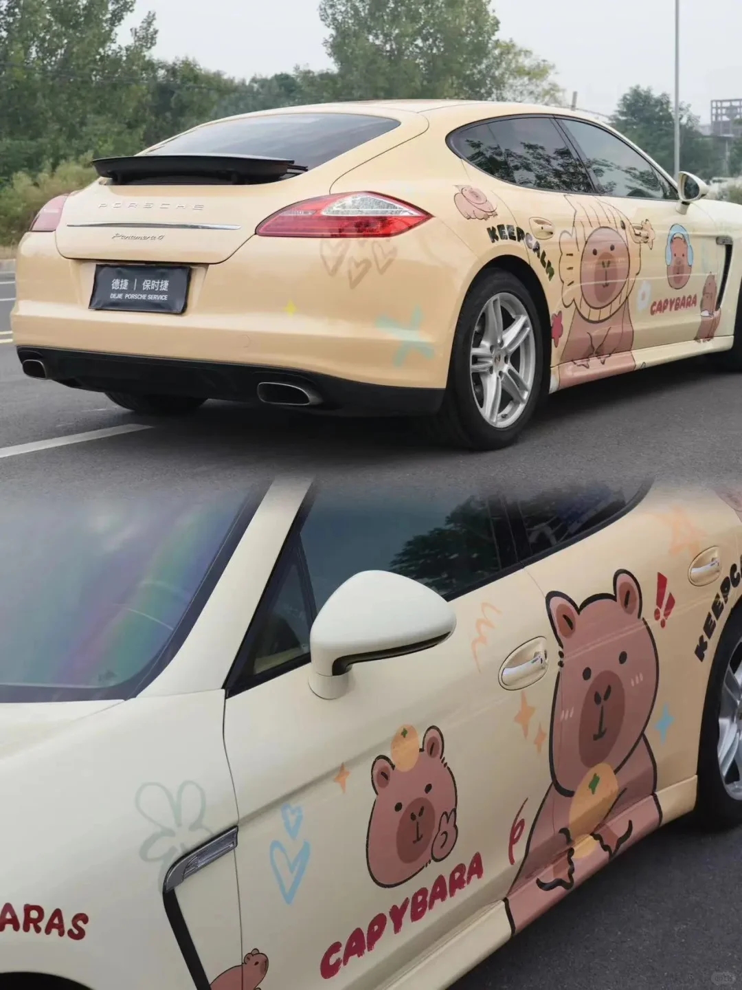 Capybara Animal Customized Car Vinyl Wrap Hood Wrap