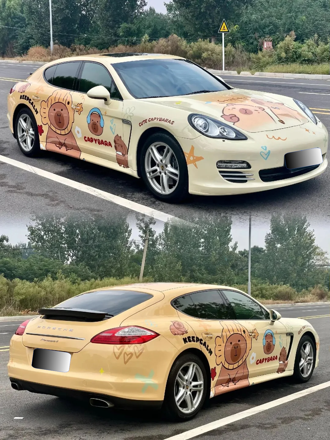 Capybara Animal Customized Car Vinyl Wrap Hood Wrap