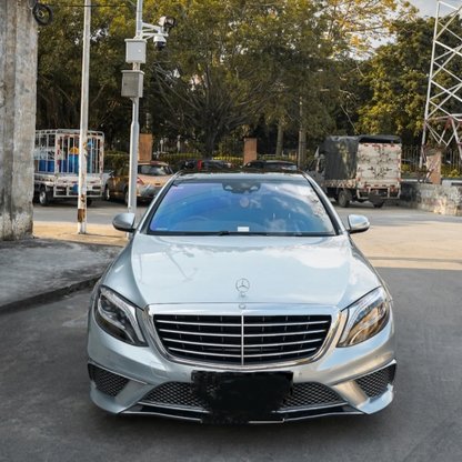 Dolomite Metallic Paint