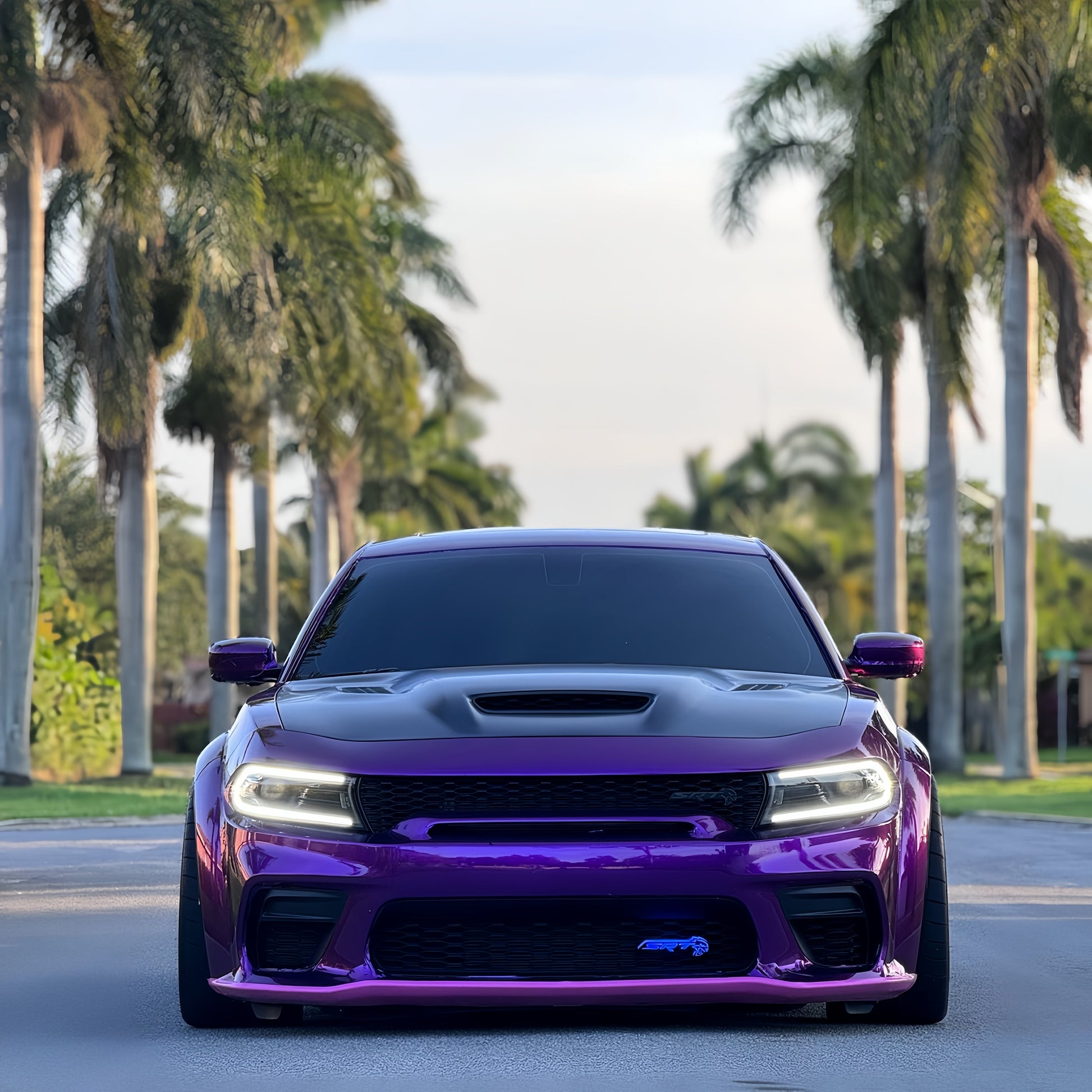 Gloss Metallic Grape Purple Car Vinyl Wrapح