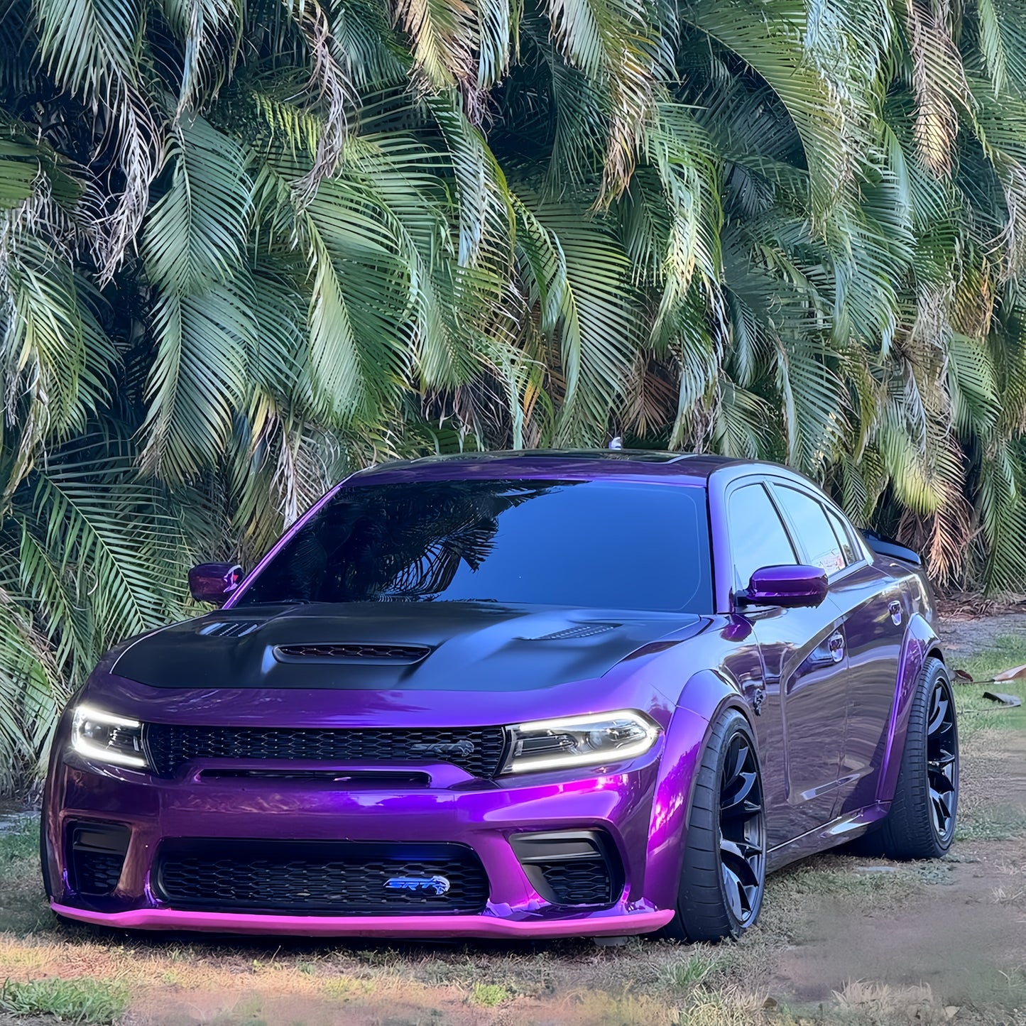 Gloss Metallic Grape Purple Car Vinyl Wrapح