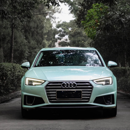 Macaron Moonlight Jade