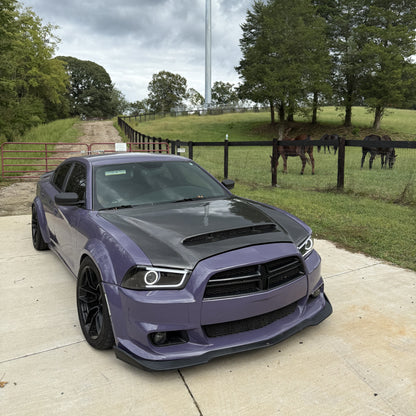 PET Negroni Purple Car Vinyl Wrap