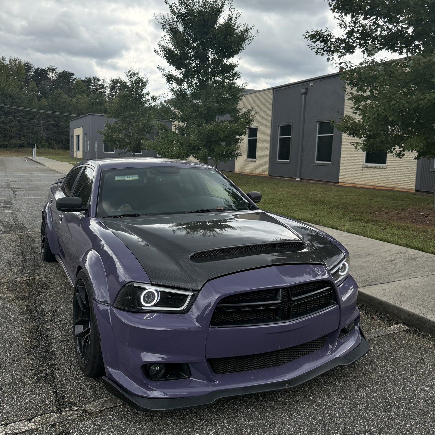 PET Negroni Purple Car Vinyl Wrap